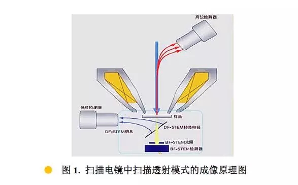 綦江扫描电镜